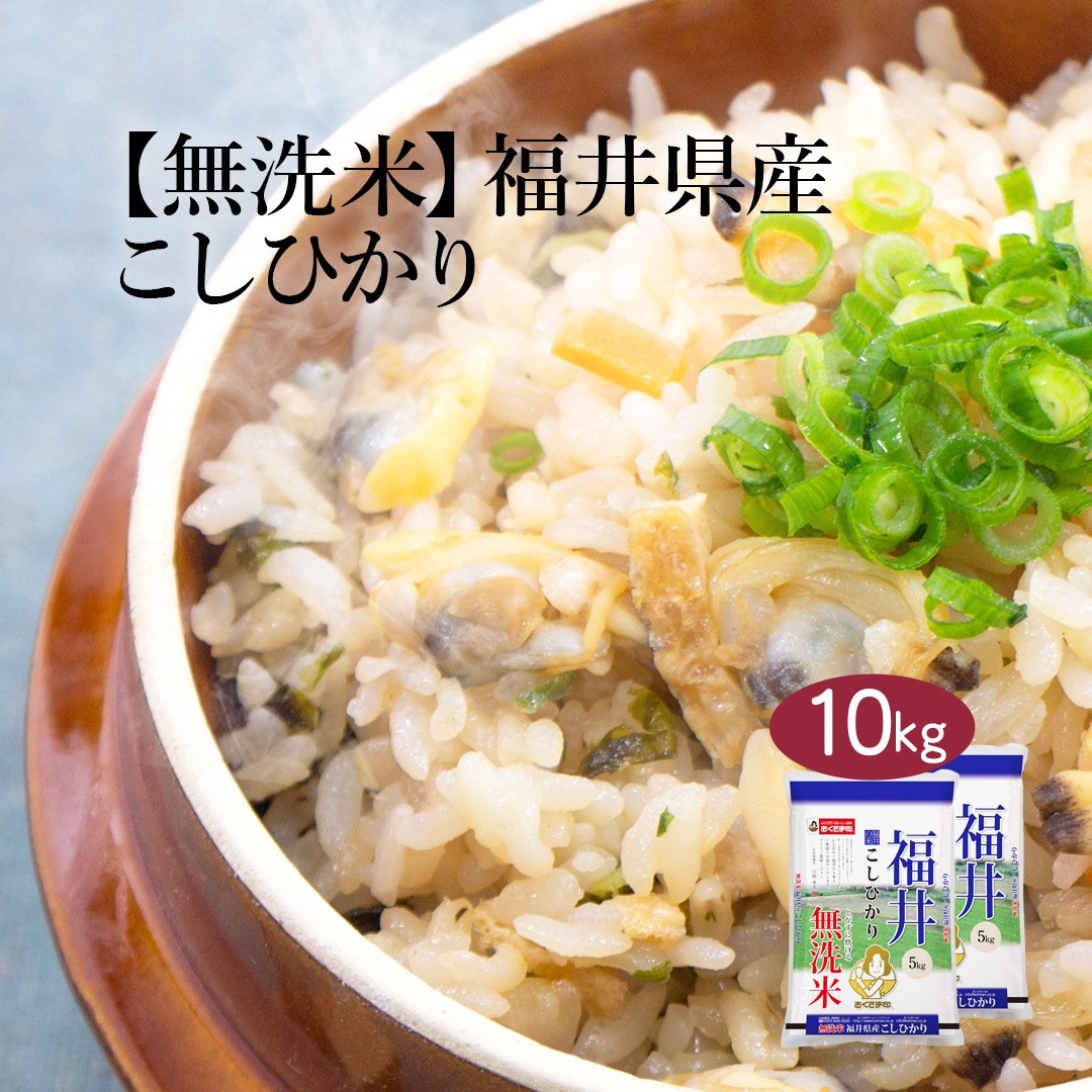 おくさま印 無洗米 10kg 米 お米 コシヒカリ 福井県産 送料無料