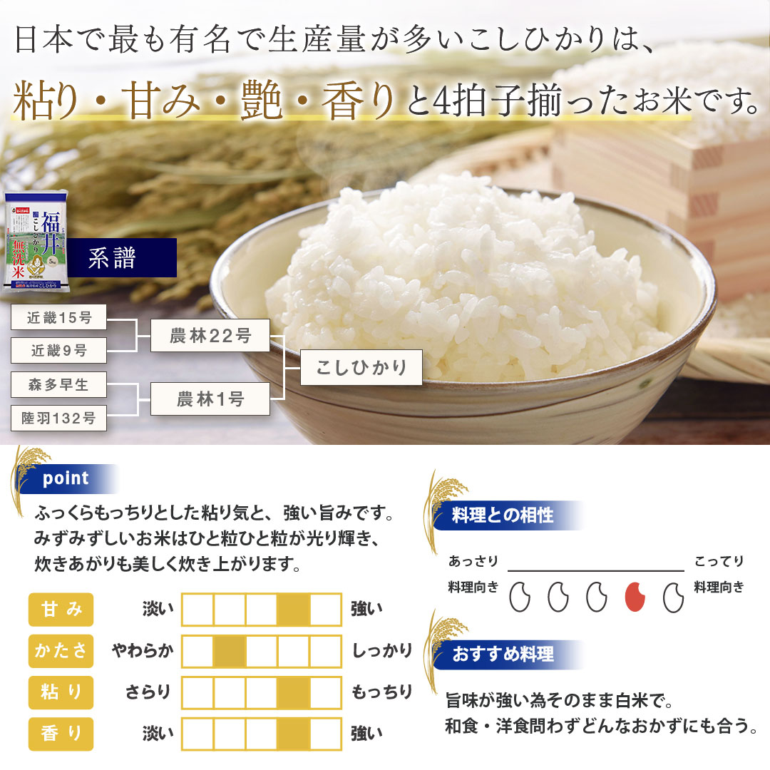 福袋 バースデイ お米 米 10kg 無洗米 おくさま印 コシヒカリ 送料無料 福井県産 米・雑穀・粉類