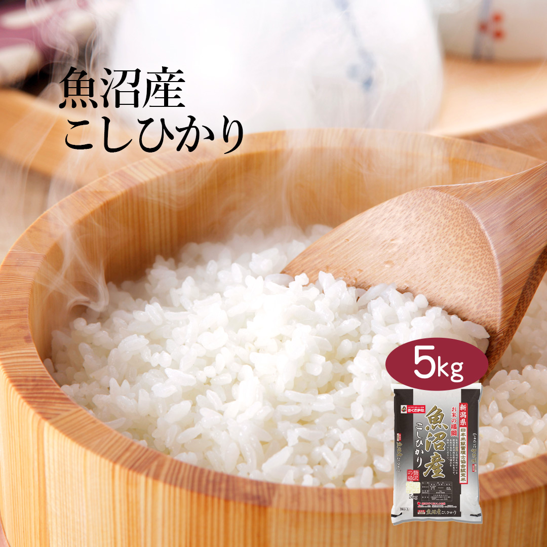 お米　こしひかり　5kg　追加購入ok　うわばの夢　コメ　精米　主食　ご飯 お米 こしひかり 5kg 追加購入ok うわばの夢 コメ 精米 主食 ご飯