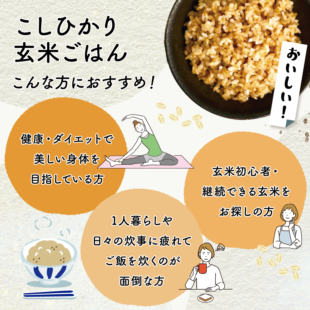 パックご飯 160g 48個 国産 雑穀ごはん こしひかり玄米 レトルト 無添加 送料無料 おくさま印_5