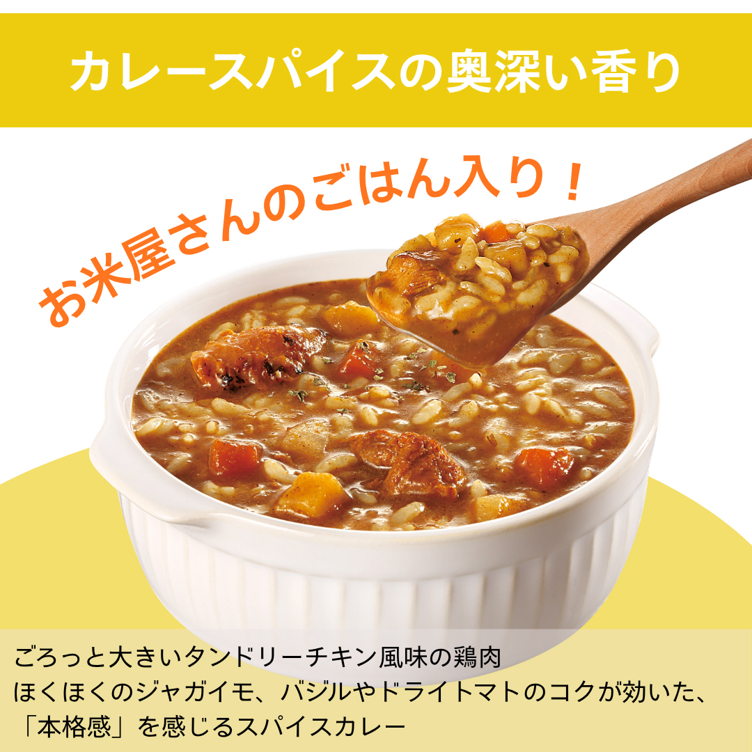 おくさま印 一膳カレー ごはん付き 250g×6個 レトルトカレー 一人前