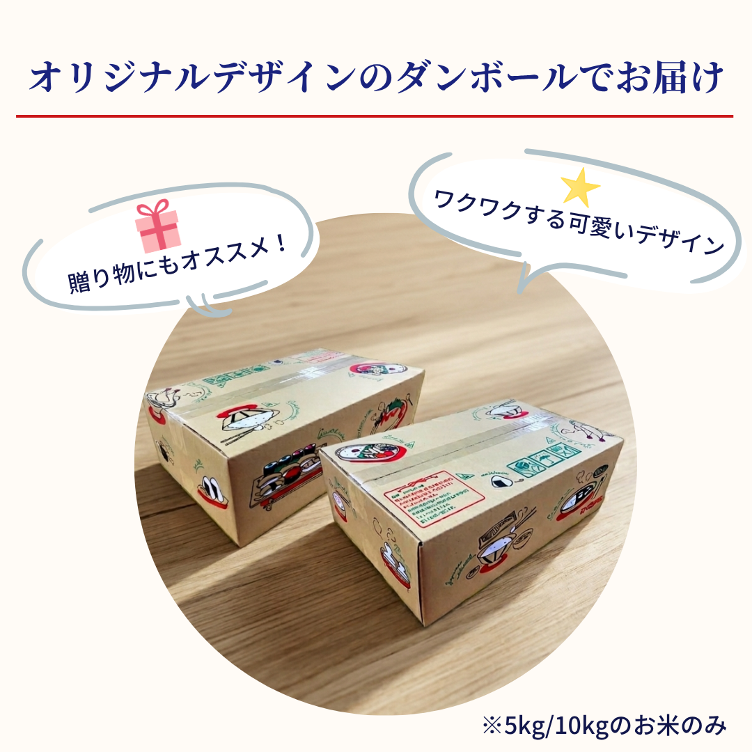 高知県産 南国そだち オリジナルデザインのダンボールでお届け
