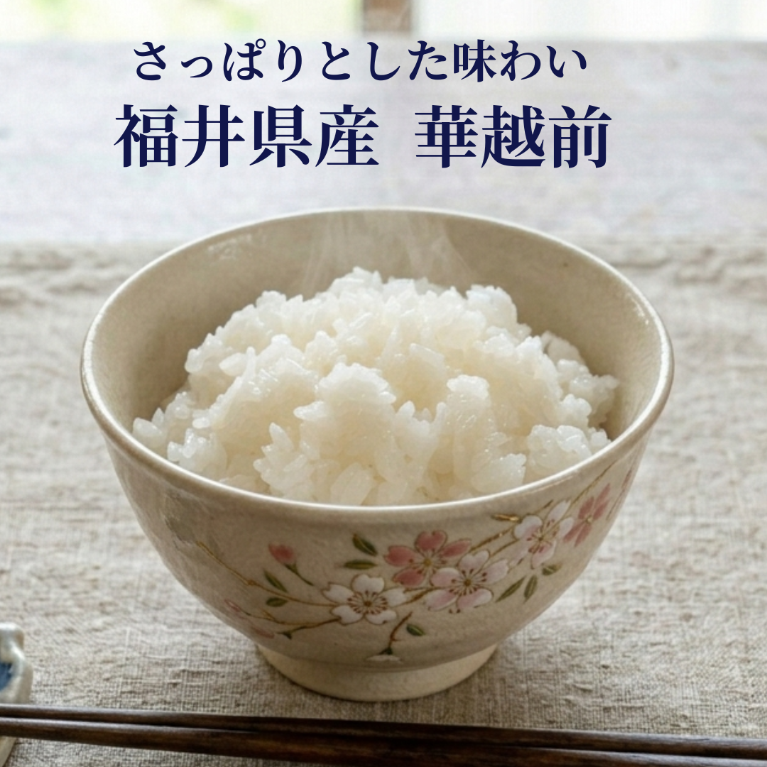 おくさま印 新米 令和8年産 福井県産 ハナエチゼン 白米 10kg（5kg×2袋