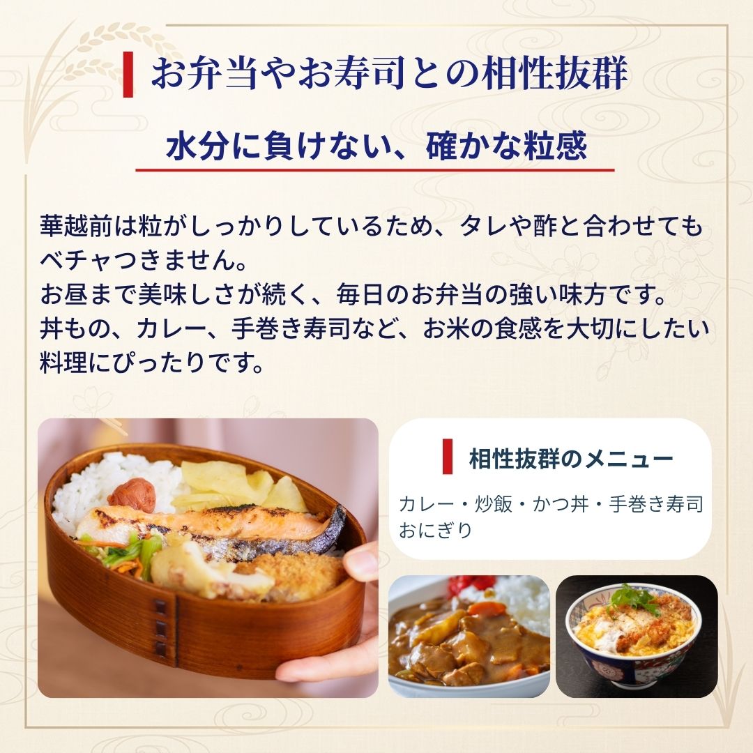 おくさま印 米 お米 10kg 5kg2セット 華越前 福井県産 令和7年産 白米