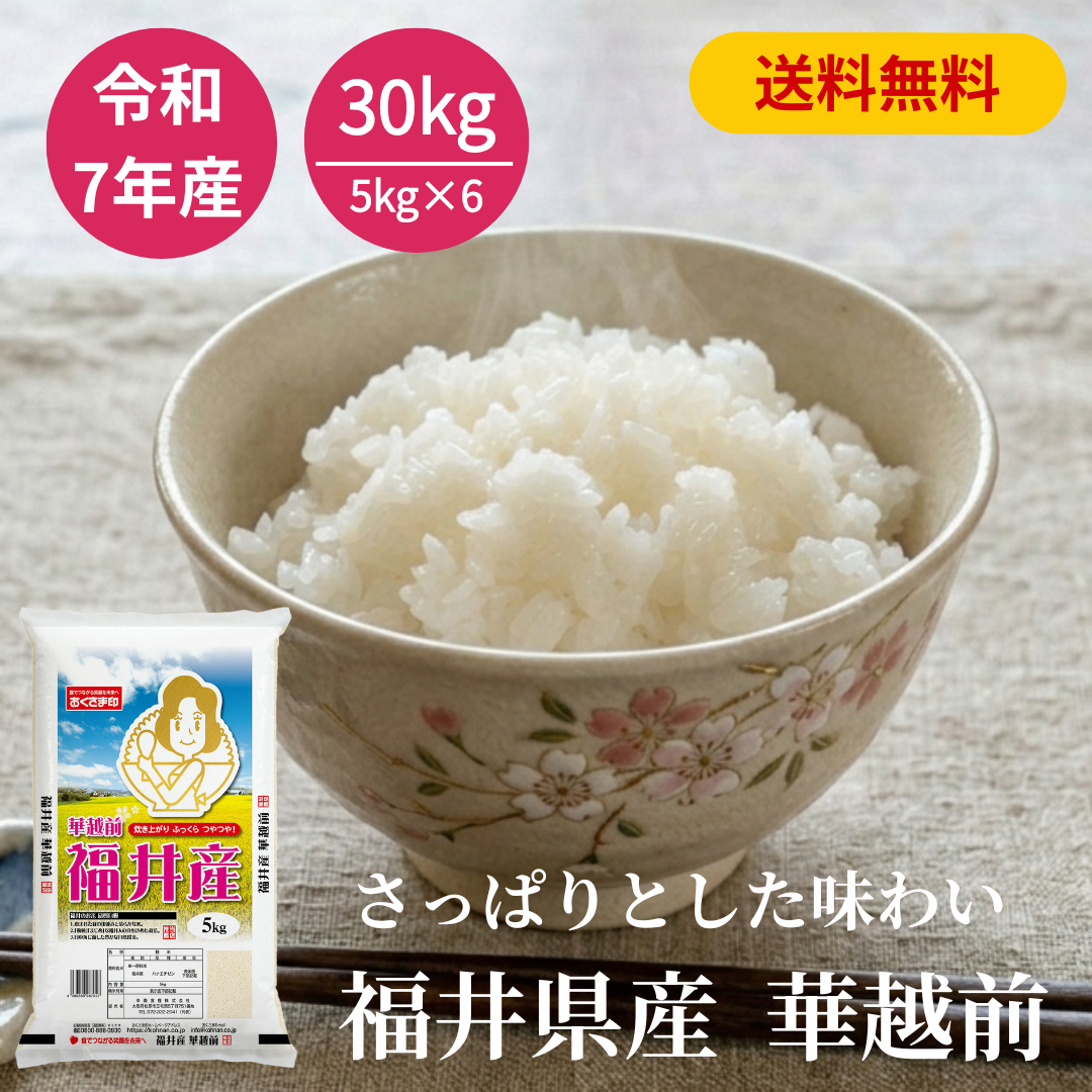 おくさま印 米 お米 30kg 5kg6セット 華越前 福井県産 令和7年産 白米