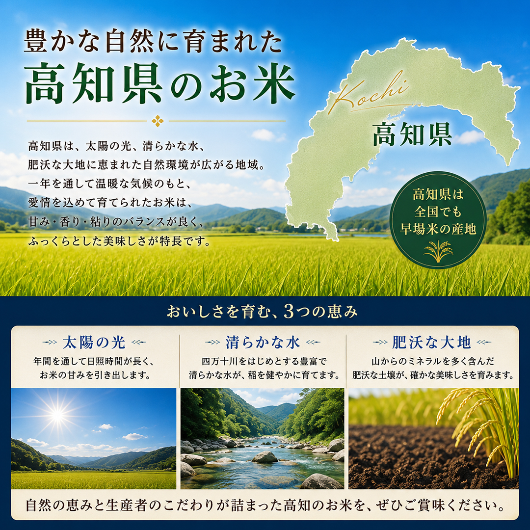 高知県産 南国そだち 3つの美味しさ