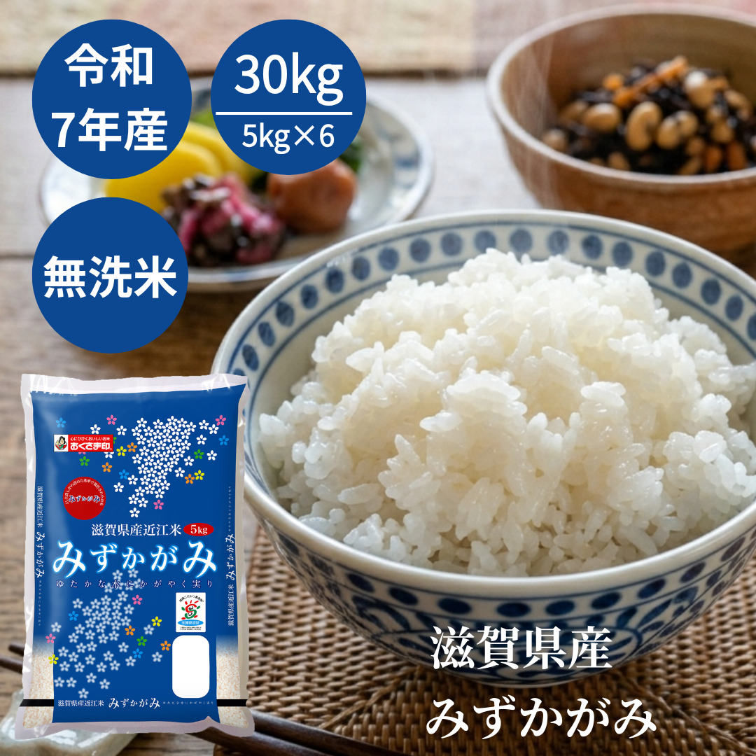 無洗米 米 お米 30kg 5kg6セット みずかがみ 滋賀県産 令和7年産 白米 送料無料 単一原料米 おくさま印