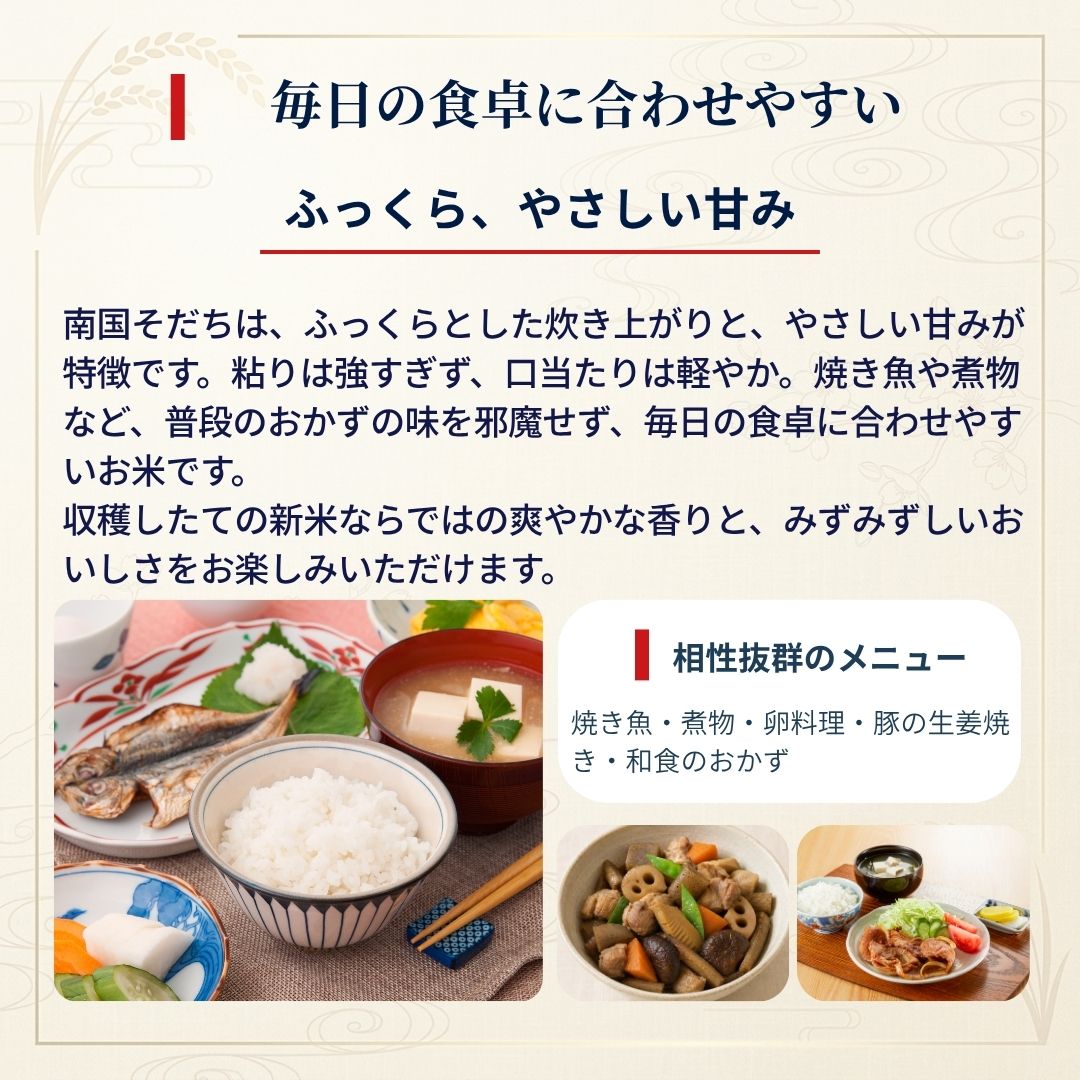 高知県産 南国そだち 料理を引き立てる極上の味