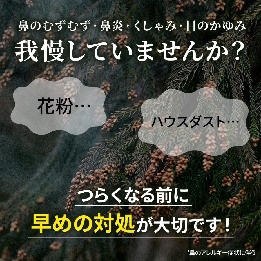 鼻炎薬 ロラタジン AG 30錠 花粉症 薬 ...の詳細画像2
