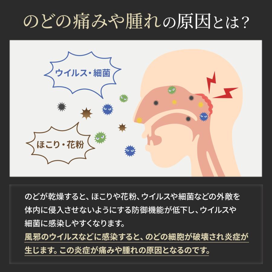喉の痛み 医薬品 薬 ソアキュア錠 20錠 2...の詳細画像4