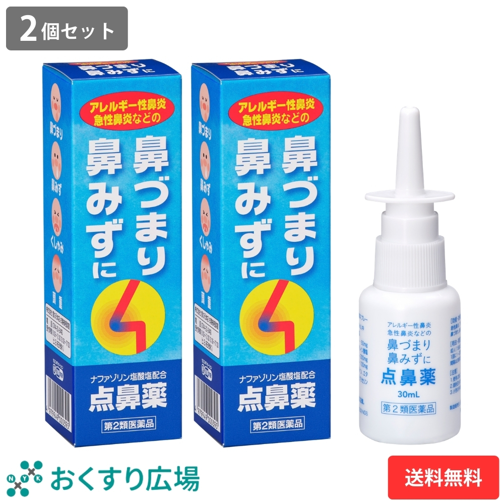 日新薬品工業 点鼻薬 雪の元 点鼻スプレー 2個セット 鼻スプレー 鼻炎