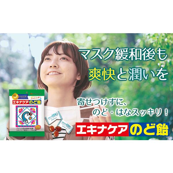 のど飴 エキナケアのど飴 15粒入 10袋セット ノンシュガー