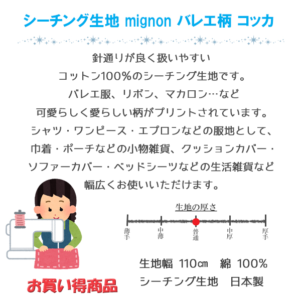 説明
