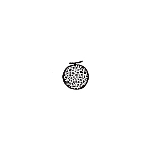 X^v 蒠p ~jX^v  fR Hו nR ͂   킢  XPW[ bZ[WJ[h S |CgJ[hp