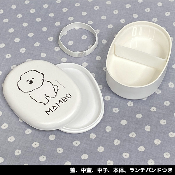 お弁当箱 女子 1段 MAMBO(マンボ)CL...の詳細画像2