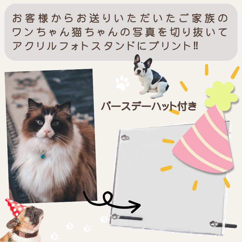 うちの子 オリジナル メモリー アクリルフォトスタンド