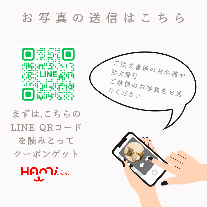LINE友達登録キャンペーン 