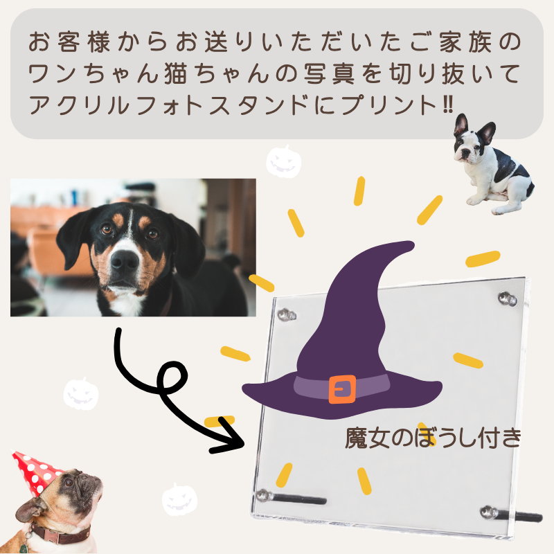 うちの子 オリジナル メモリー アクリルフォトスタンド