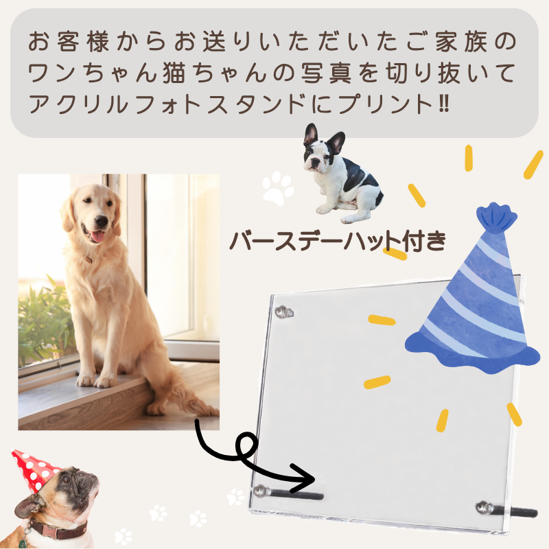 うちの子 オリジナル メモリー アクリルフォトスタンド