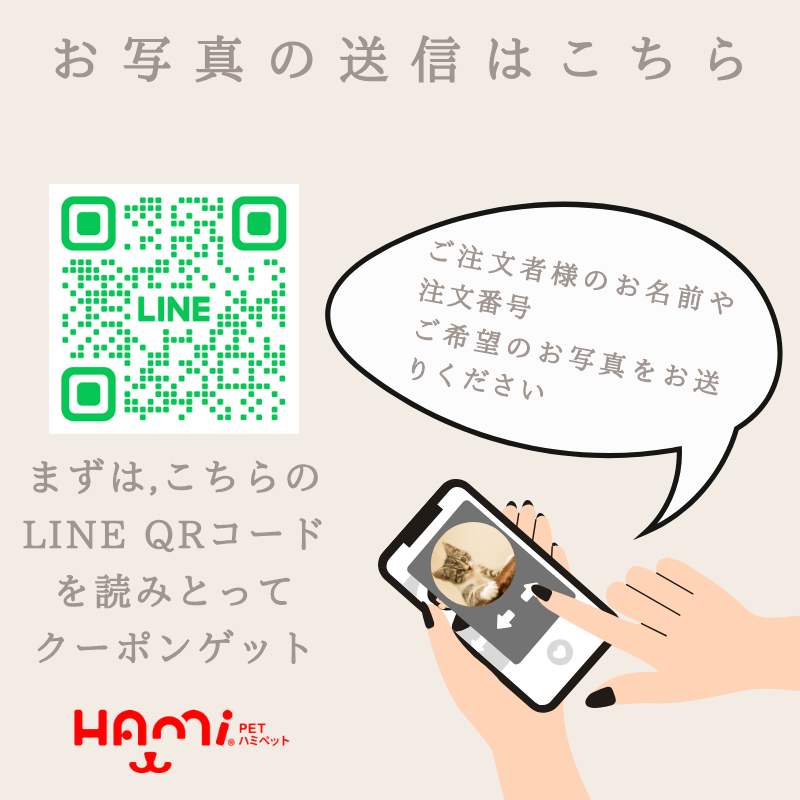 LINE友達登録キャンペーン 