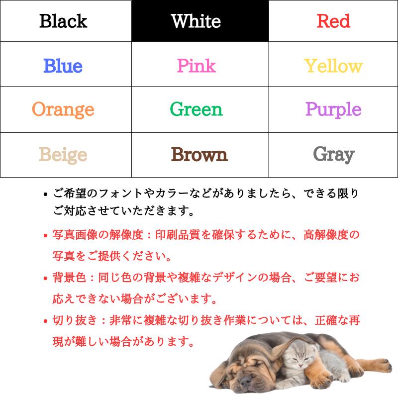 うちの子 オリジナル サーモス マグボトル