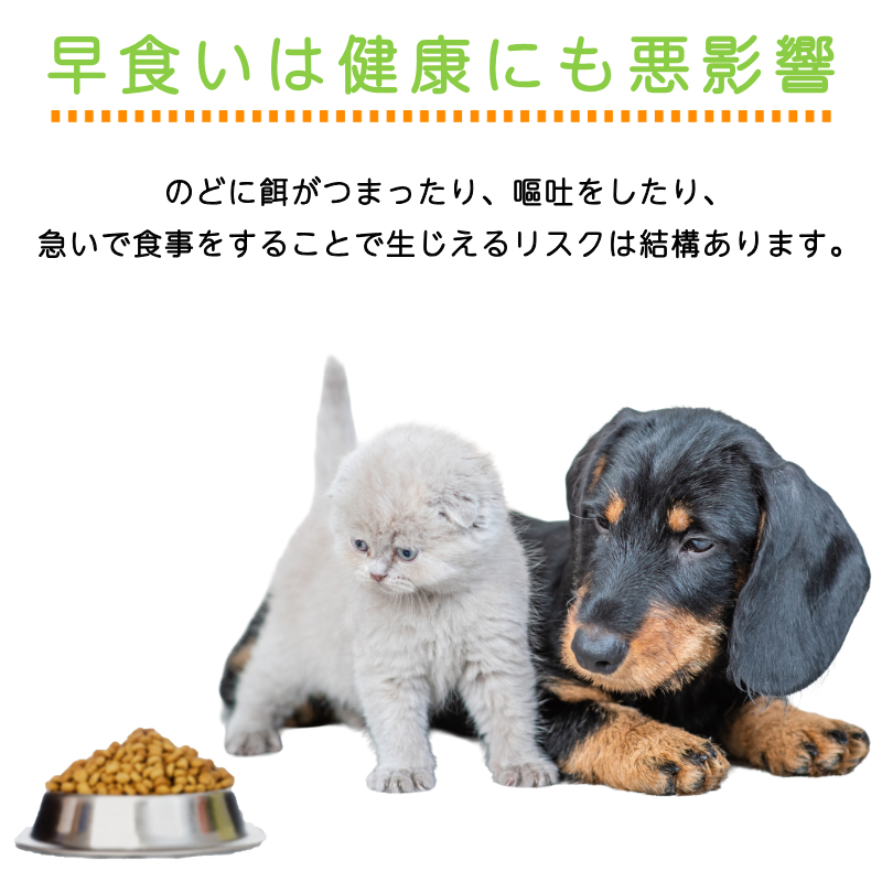 早食い防止健康オリジナルフードボウル