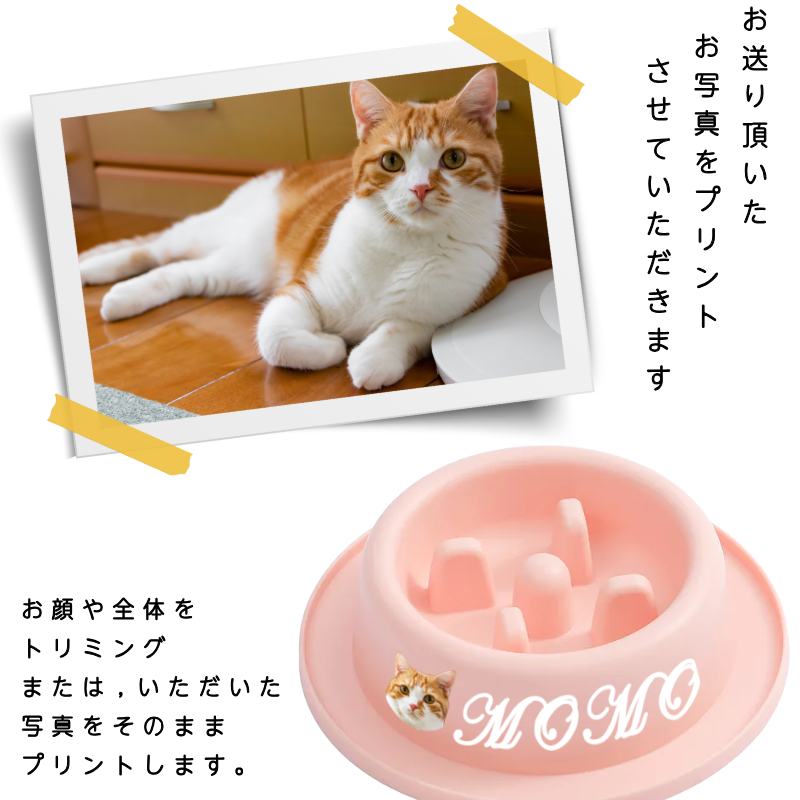 早食い防止健康オリジナルフードボウル
