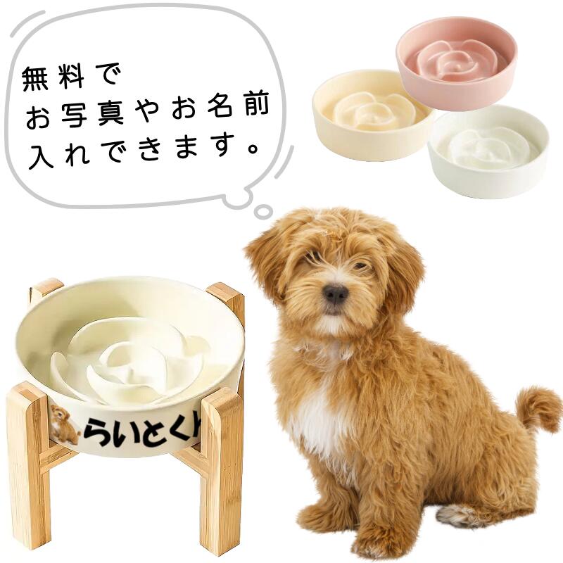 早食い防止フードボウル
