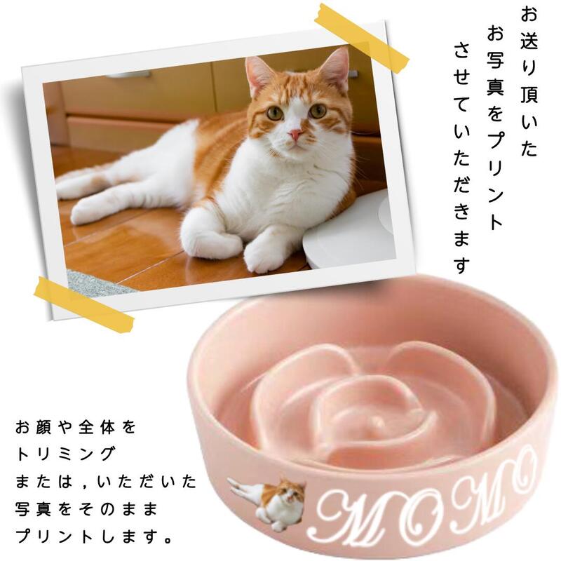 早食い防止フードボウル