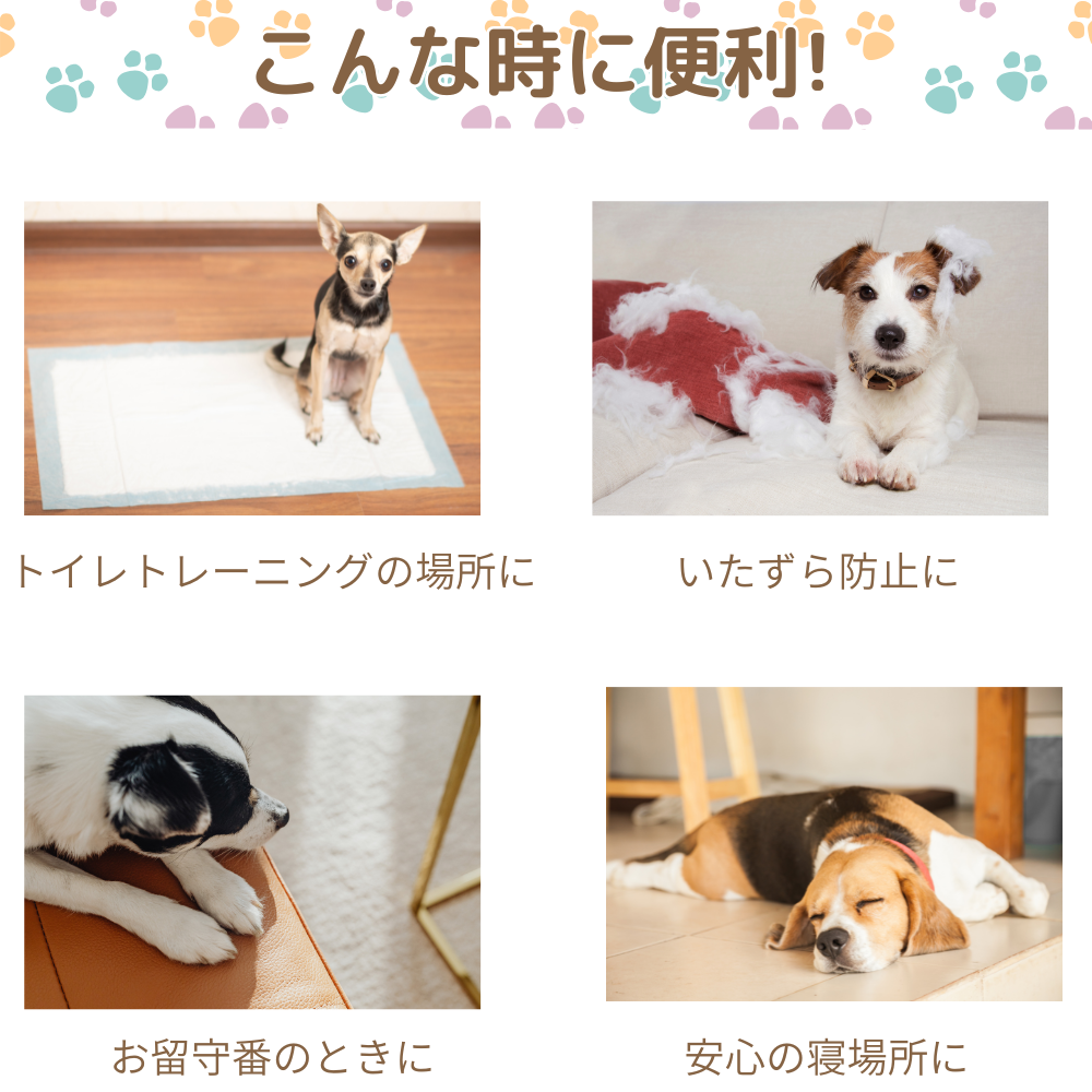 犬　ゲージ stcageneo-j1468.jpg