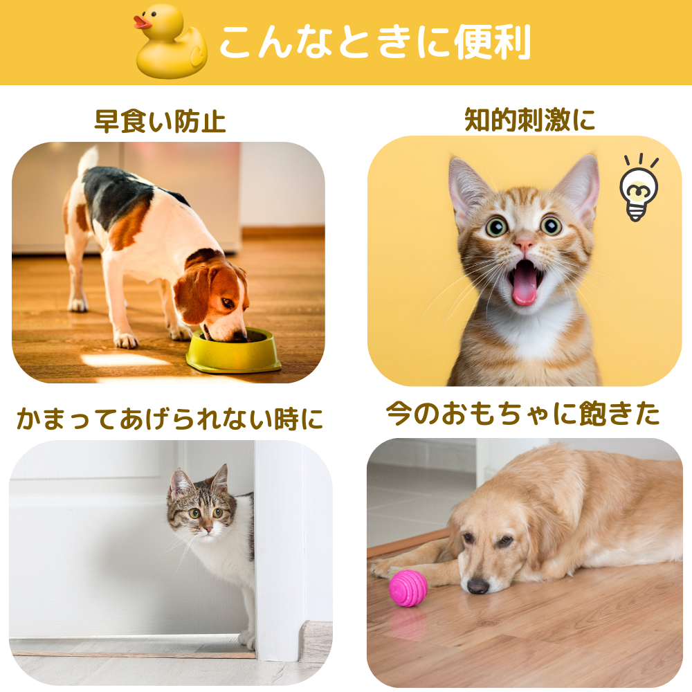 愛猫玩具 運動不足解消 本能を刺激 自動知育玩具 猫運動トレーニング