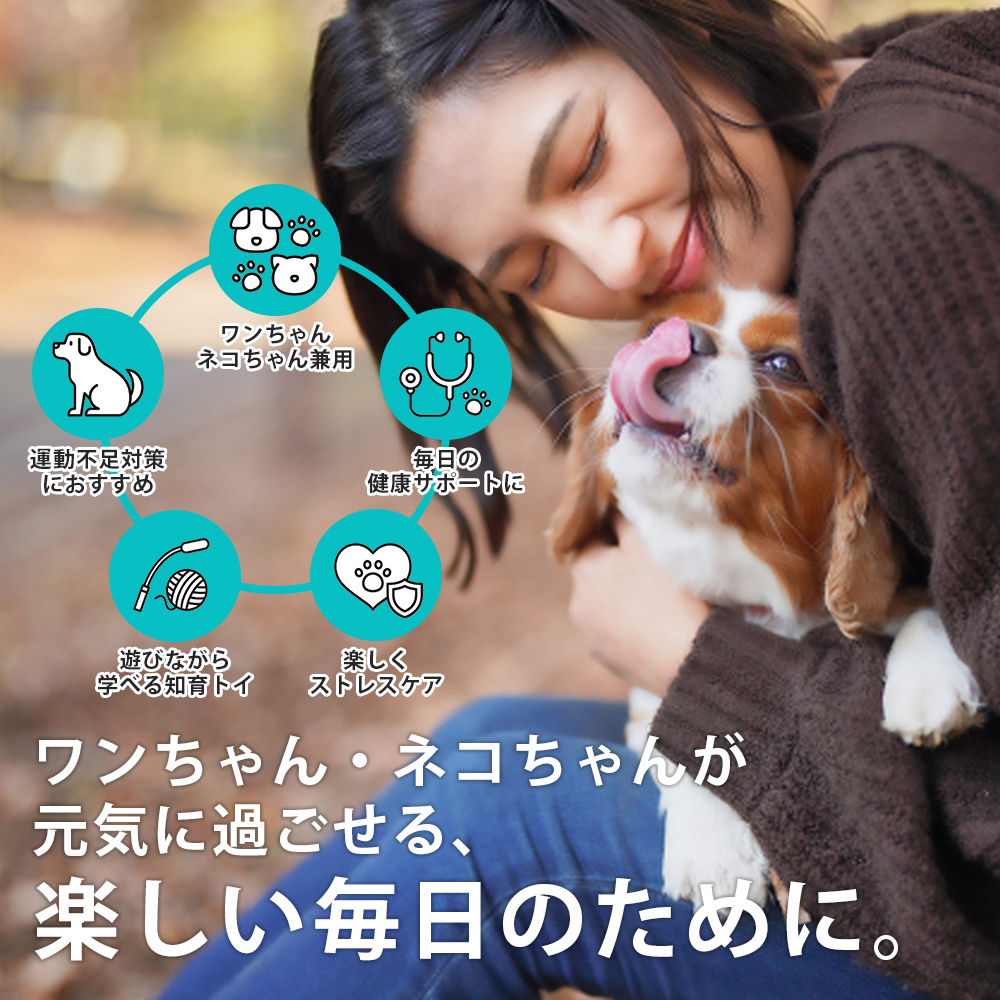 猫も使える知育おもちゃ ボール型 ペット用おやつボール