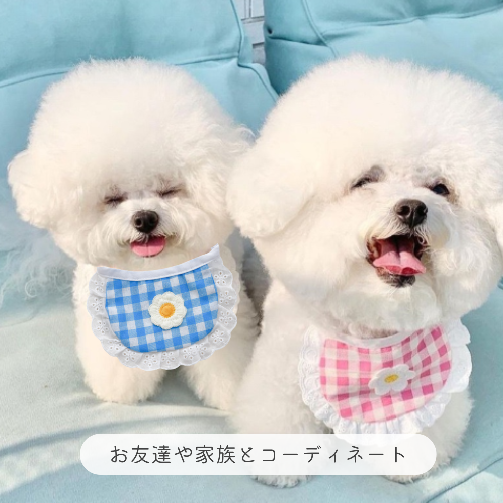 写真映えする華やかなデザインのペット用スカーフ