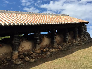 やちむん 民藝 読谷山焼 山田真萬長方板皿 赤絵1 : おまめ - 通販