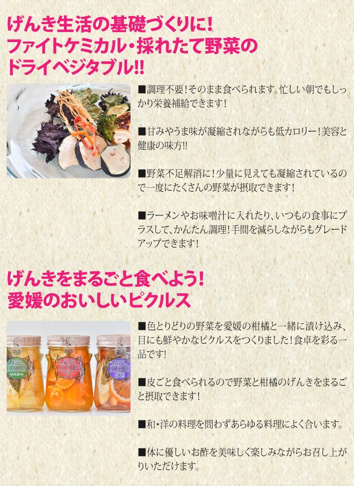 おもてなしギフト 愛媛県産フルーツと野菜で作ったピクルスセット おもてなしギフトショップ - 通販 - PayPayモール