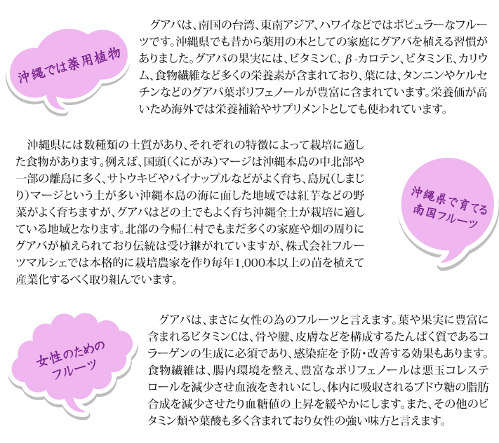 おもてなしギフト