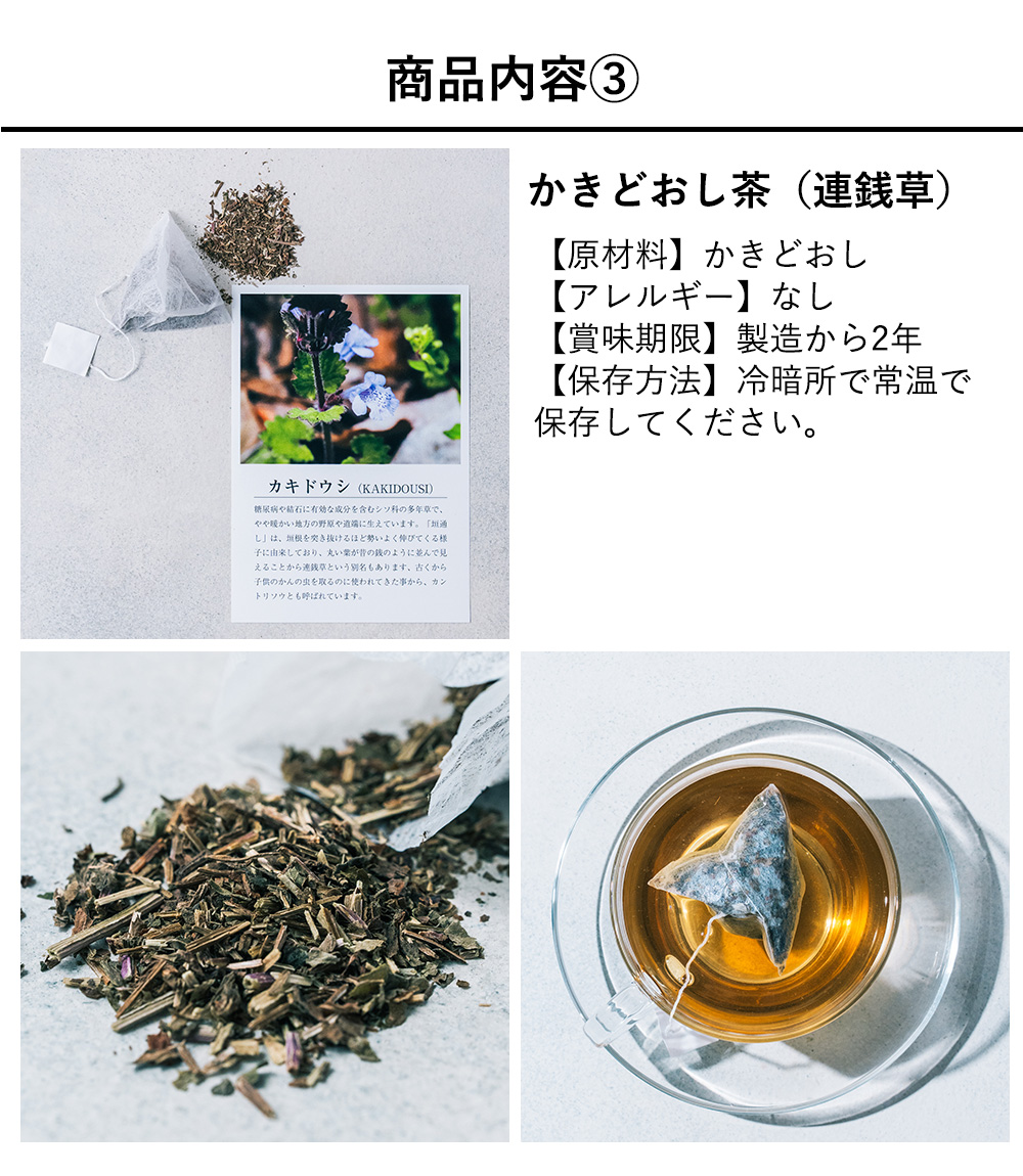 おもてなしギフト 常滑焼急須館