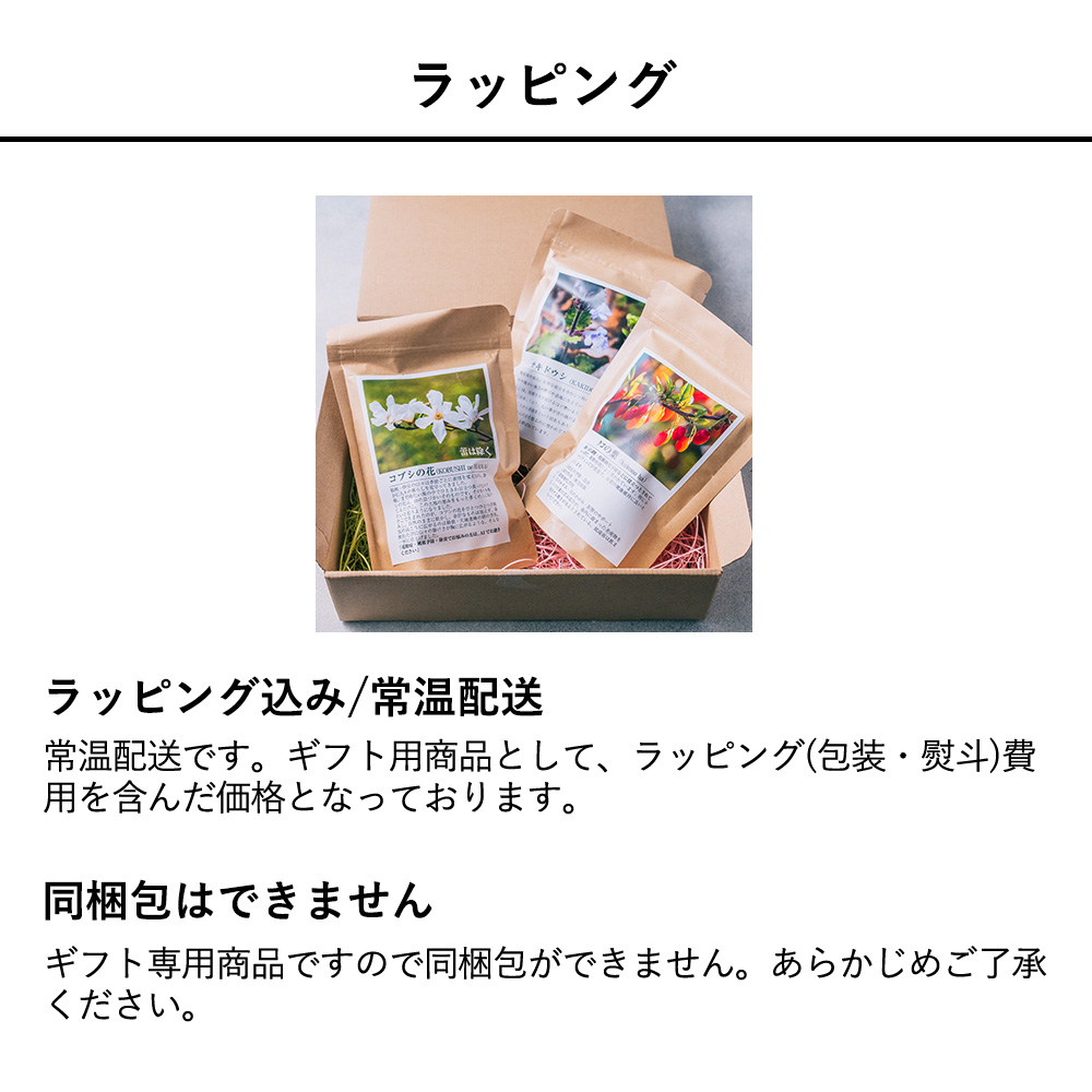 おもてなしギフト 常滑焼急須館