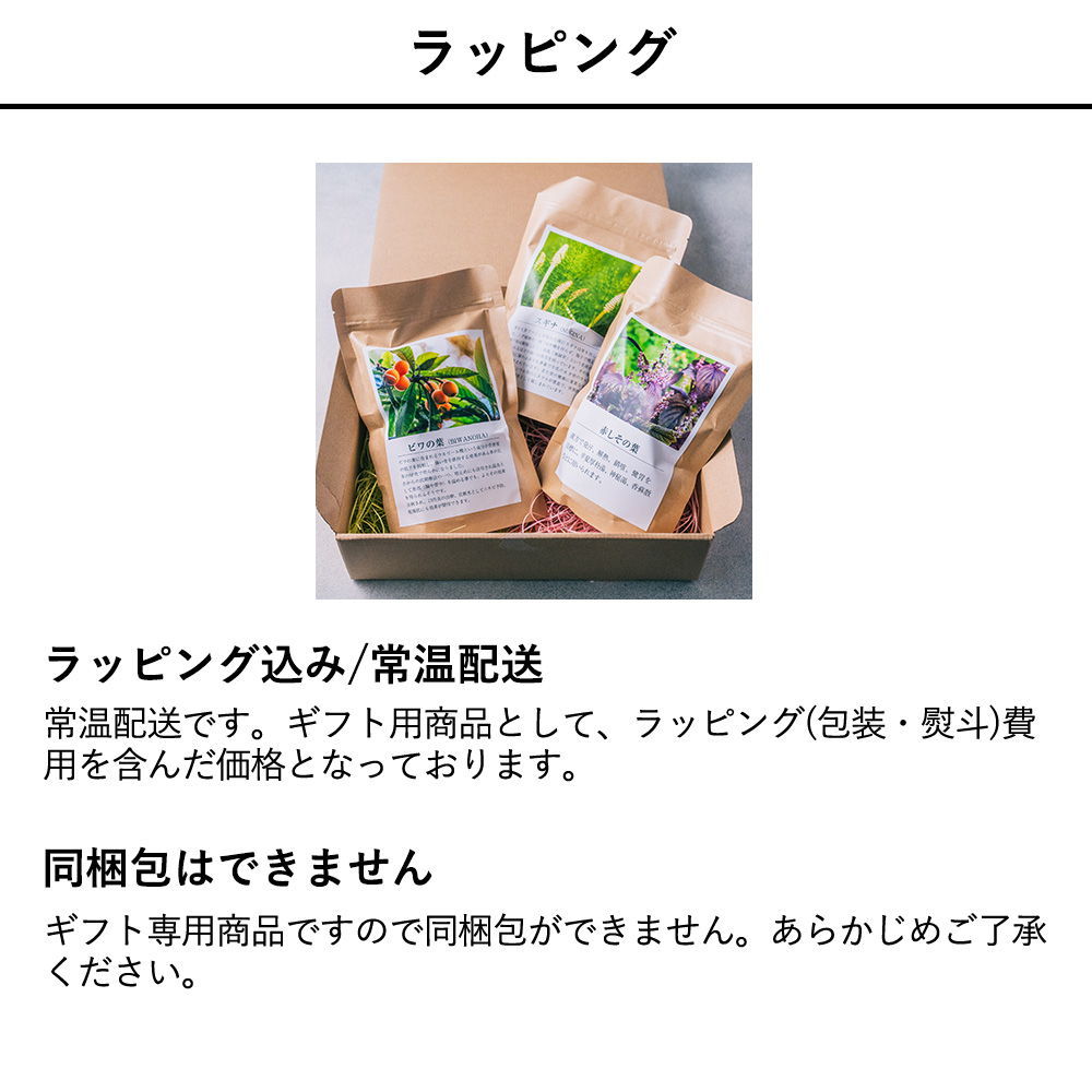 おもてなしギフト 常滑焼急須館
