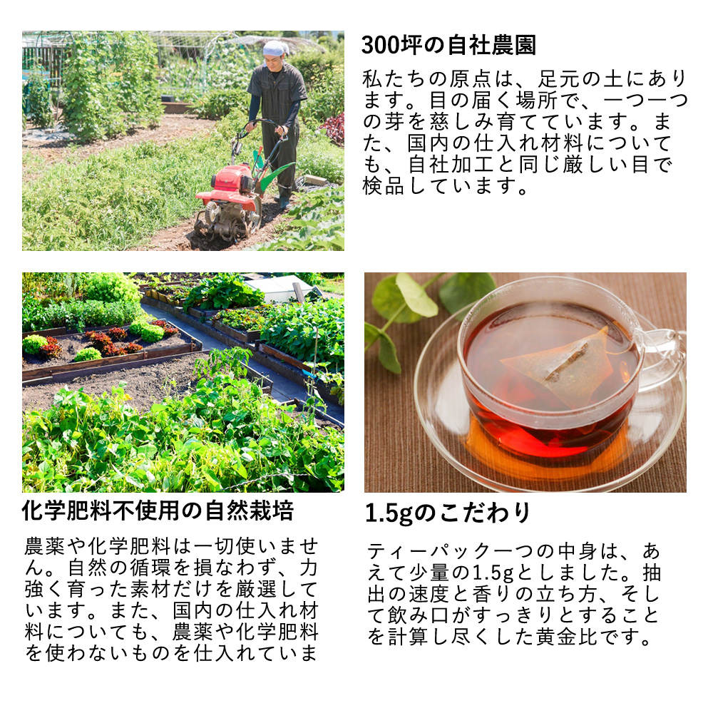 おもてなしギフト 常滑焼急須館