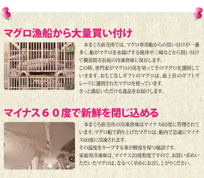 ですが おもてなしギフト おもてなしギフトショップ 通販 Paypayモ 天然本まぐろセット まぐろ専門店の本 まぐろ直売所が届けるギフトグレードの豪華天然本マグロ 大トロ 中トロ 赤身のセット のまぐろ ですが おもてなしギフト おもてなしギフトショップ 通販 Paypayモ 天然本まぐろセット まぐろ専門店の本 まぐろ直売所が届けるギフトグレードの豪華天然本マグロ 大トロ 中トロ 赤身のセット のまぐろ