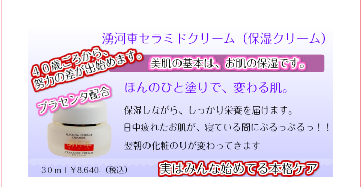 おもてなしギフト 常滑焼急須館