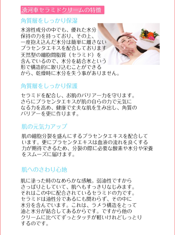 おもてなしギフト 常滑焼急須館
