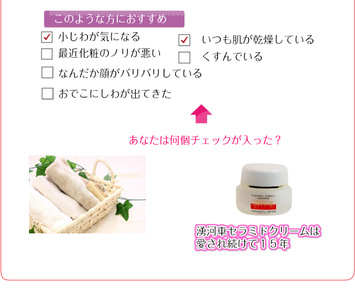 おもてなしギフト 常滑焼急須館
