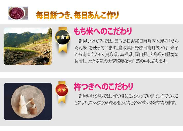 おもてなしギフト いけがみ