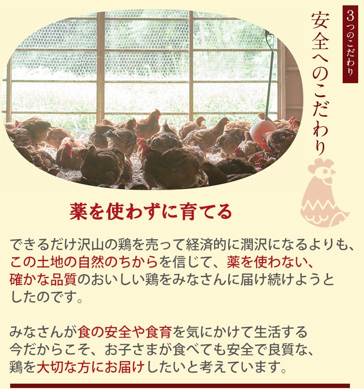 古処鶏 鍋 セット（小）（3〜4人前目安）ご家庭用 こしょどり 天野商店 :amano-koshodori03:お取り寄せグルメ地酒焼酎のサワヤ -  通販 - Yahoo!ショッピング