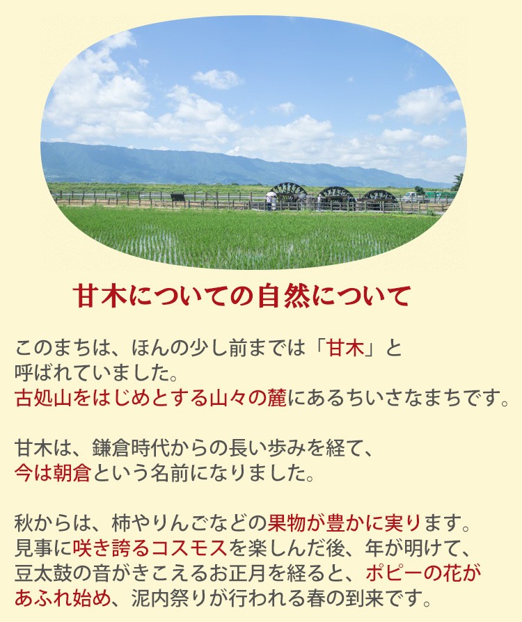 古処鶏 鍋 セット（小）（3〜4人前目安）ご家庭用 こしょどり 天野商店 :amano-koshodori03:お取り寄せグルメ地酒焼酎のサワヤ -  通販 - Yahoo!ショッピング