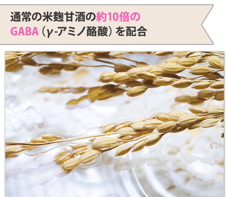 資材不足により停止】乳酸菌 甘酒 米麹 無添加 白神ささら150g 4種 20