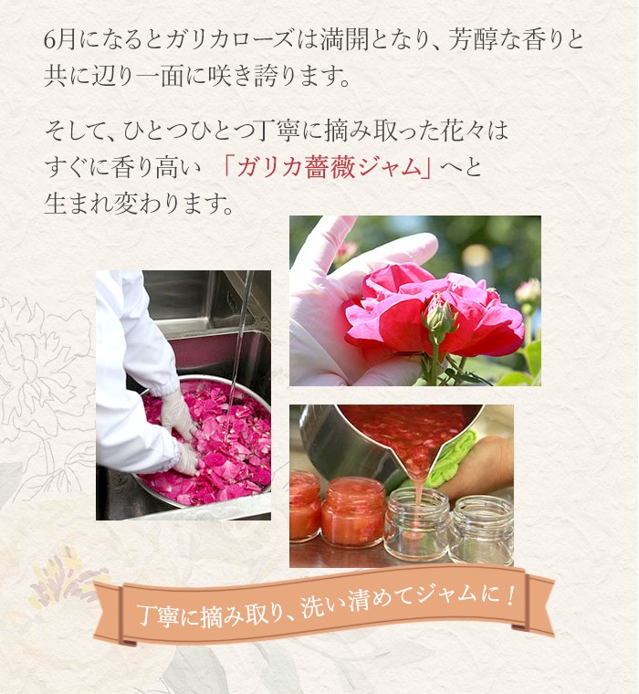 秋田薔薇園産 ガリカ薔薇ジャム 150g×2個セット 無添加/ばらジャム/バラジャム/ローズメイ お歳暮 のし対応可  :rose-jam2:お取り寄せグルメ地酒焼酎のサワヤ - 通販 - Yahoo!ショッピング