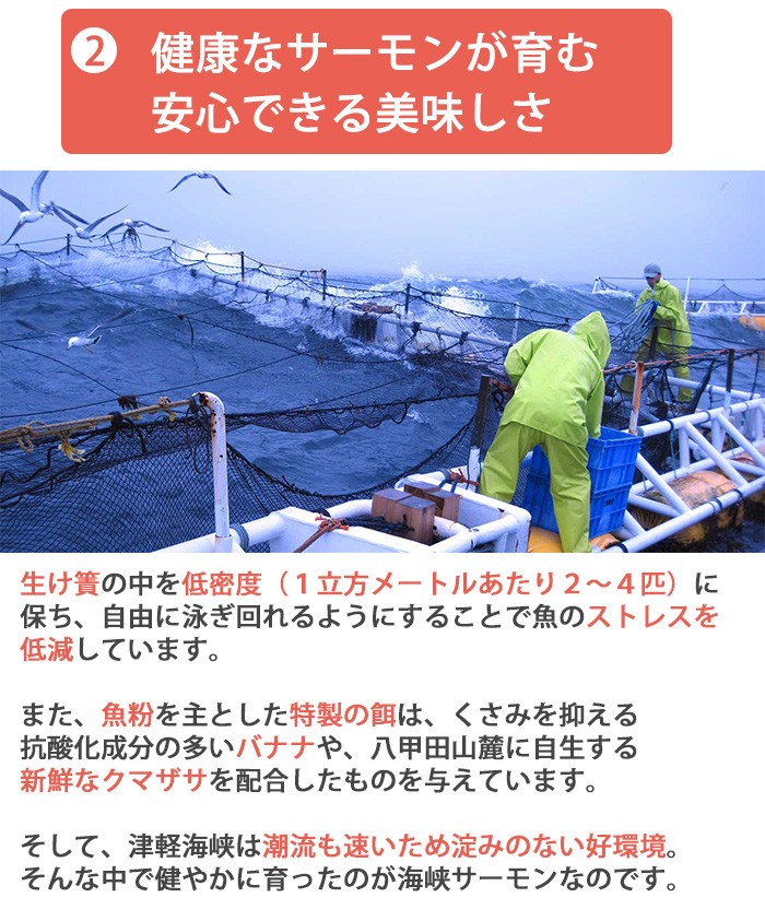 厳しい津軽海峡での育成